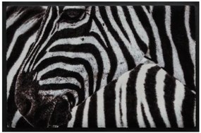 Állatos prémium lábtörlő - zebra (Válassz méretet: 100*70)