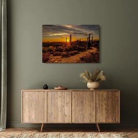 Kép - A nap vége az arizonai sivatagban (90x60 cm)