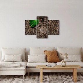 Kép egy levél a fatörzsön (90x60 cm)