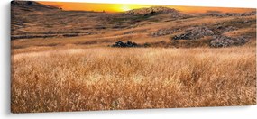 Mező képe (120x50 cm)
