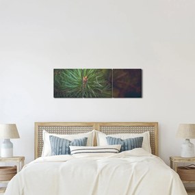 Kép - Fenyőfa részlete (órával) (90x30 cm)