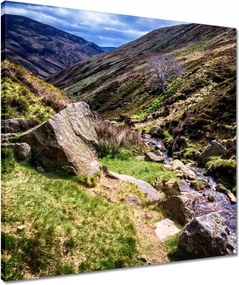 Vászonkép 50x50 Hegyi patak