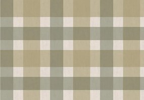 Parato Cristiana Masi Top Stripes Patch zöld kockás vlies tapéta – 38425