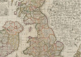 Flizelin tapéta Divatos 3D fali ragasztóval Antik térkép 312x219 Ragasztó