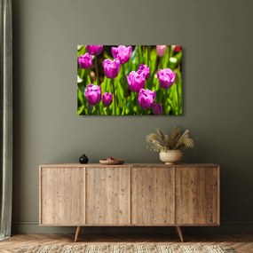 Tulipánok a réten képe (90x60 cm)