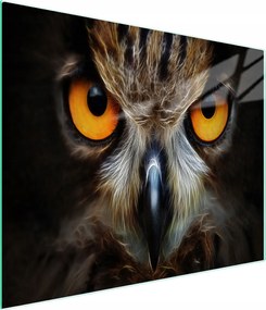 Üveg Vágódeszka 52x30 Bagoly Edzett Üveg