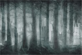 Fotótapéta Flizelin Hálószoba és Nappali tapéta Rejtélyes erdő 104x70