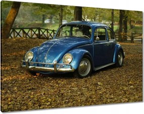 Vászonkép 100x70 Bogár Vw autó]