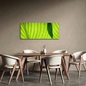 Kép - Zöld levél részlete (120x50 cm)