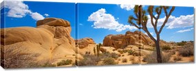 Vászonkép 150x50 Sivatagi táj