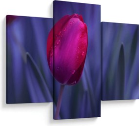 Tulipán bimbó képe (90x60 cm)