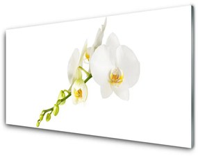 Akrilüveg fotó Virág növény természet 120x60 cm