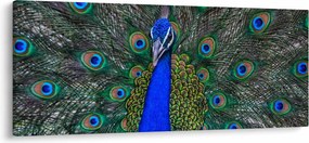Kép - Páva (120x50 cm)