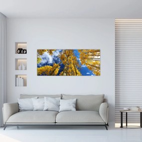 Kép - Aspen (120x50 cm)