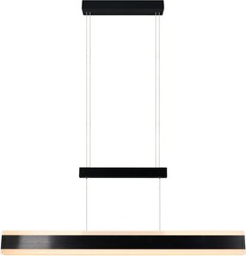 Matt fekete LED függőlámpa fém búrával Arcola – Trio