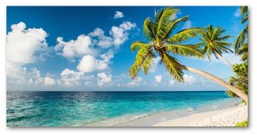 Akril üveg kép Maldív-szigetek strand oah-139579212