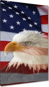 Festmények 80x120 Freedom from Usa