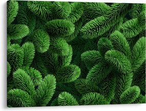 Kép - Tűlevelű gallyak (70x50 cm)