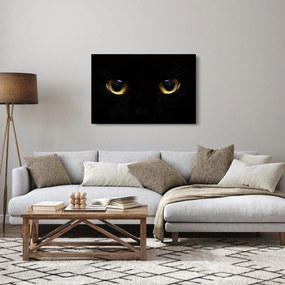 Kép - Macskaszemek (90x60 cm)