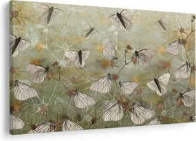Kép - szüret lepkék (90x60 cm)