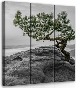 Vászonkép 90x100 Immunerősítés Megingathatatlanság Magány Meditáció Nyugalom Természet