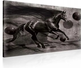 Vászonkép 80x60 Ló futás mozgás erő kecsesség dinamika sebesség misztika