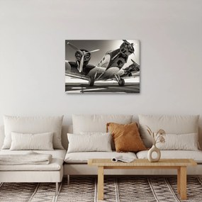 Kép - Történelmi repülőgépek (70x50 cm)