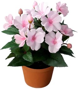 Mű Nebáncsvirág virágtartóban, rózsaszín, 24 cm