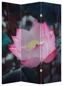 Paraván - Rózsaszín virág (126x170 cm)