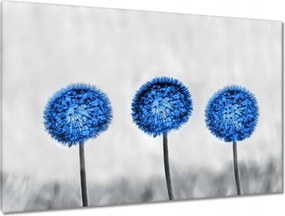 Vászonkép 120x80 Kék pitypangok