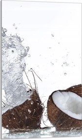 Üveg Vágódeszka 30x52 Kókusz a Konyhába