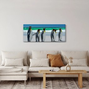 Kép - A Királyi pingvinek csoportja (120x50 cm)