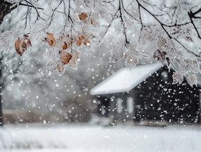 Vászonkép Canvas Tájkép Ház Fa Tél Hó Dér Jég Fagy 100x75