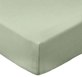 Zöld gumis pamut-perkál lepedő 150x200 cm Cotton Percale – Bianca