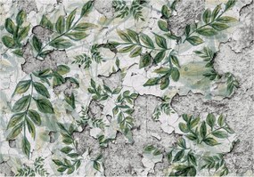 Flizelin fotótapéta Zöld levelek repedések természet 368x280 +ragasztó