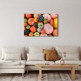 Kép - Tök (90x60 cm)