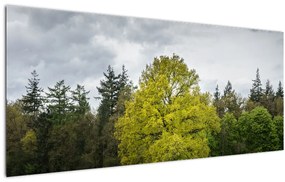 Egy zöld fa képe a mező közepén (120x50 cm)