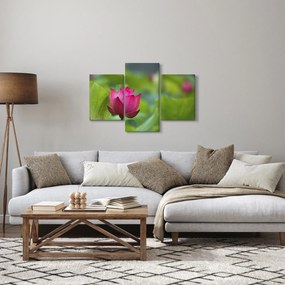 Kép - vízi növény (90x60 cm)