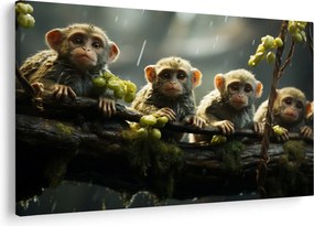 Kép - Majmok (90x60 cm)