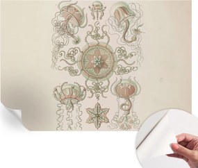 Design fali fotótapéta öntapadós víz alatti világ 152x104 cm