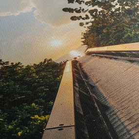 Kép - út a naphoz (150x105 cm)