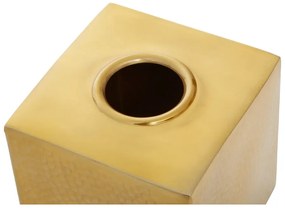 Fém zsebkendőtartó Allegra – Premier Housewares