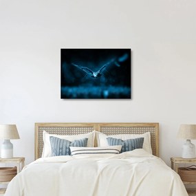 Egy repülő bagoly képe (üvegen) (70x50 cm)