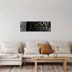Cica képe (órával) (90x30 cm)