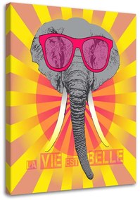 Gario Vászonkép Szemüveges elefánt Méret: 40 x 60 cm