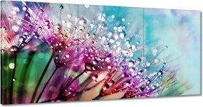 Vászonkép 120x60 Harmatcseppek Pitypang