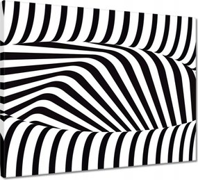 Vászonkép 50x40 Absztrakt fekete-fehér