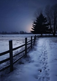 Poszter 70x100cm Csendes Téli Fény