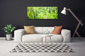 Vászonkép nyomtatás Grass Nature Plant 120x60 cm