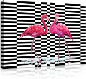 VĂĄszonkĂ©p 70x50 FlamingĂł RĂłzsaszĂn Fekete-fehĂ©r TrĂłpusok Madarak VĂz